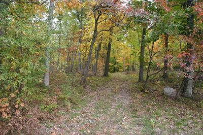 Mullen Road Delton, MI 49046 - Photo 1 of 5 Primary Photo
