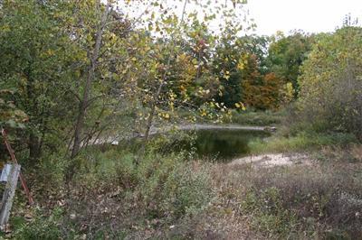 Mullen Road Delton, MI 49046 - Photo 3 of 5 Additional Photo