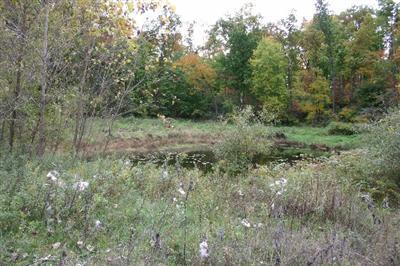 Mullen Road Delton, MI 49046 - Photo 5 of 5 Additional Photo