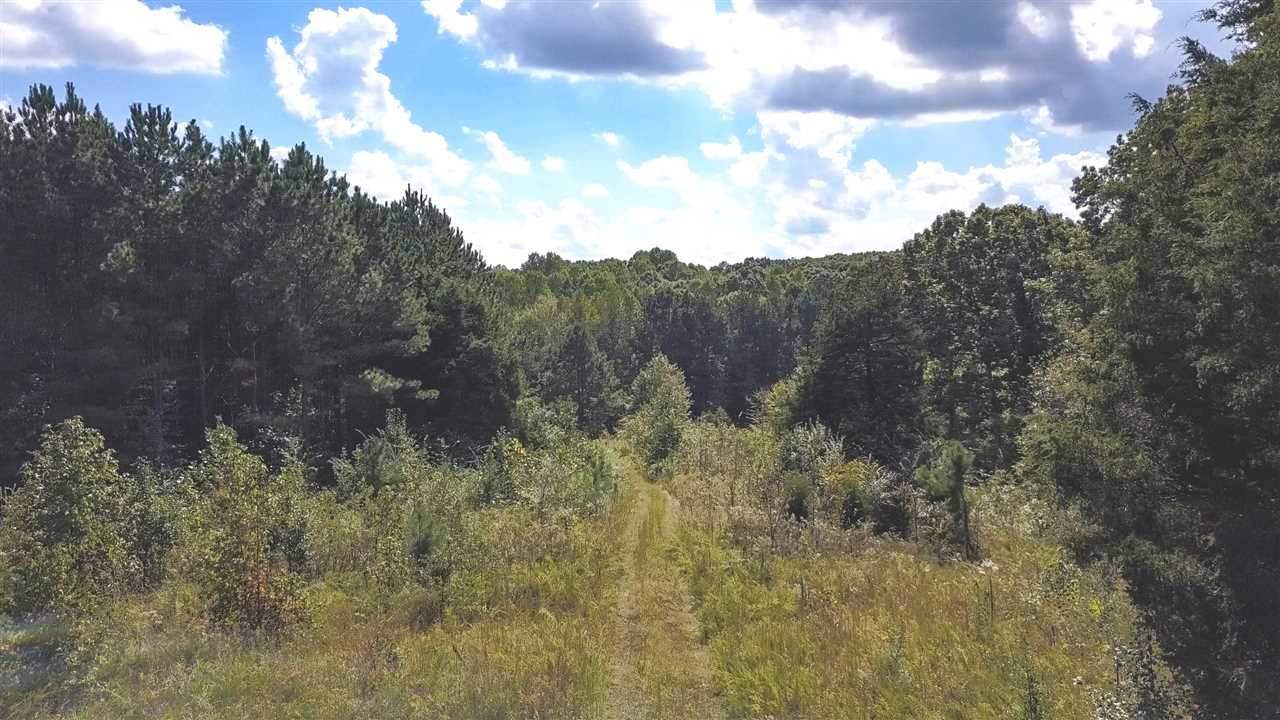 2910 Pleasant Grove Road Springville, TN 38256 - Photo 1 of 1 Photo 1