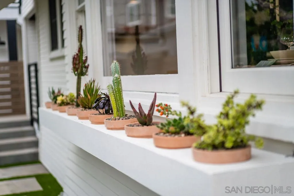725 Pennsylvania Avenue San Diego, CA 92103 - Photo 64 of 64 a view of a flower pot