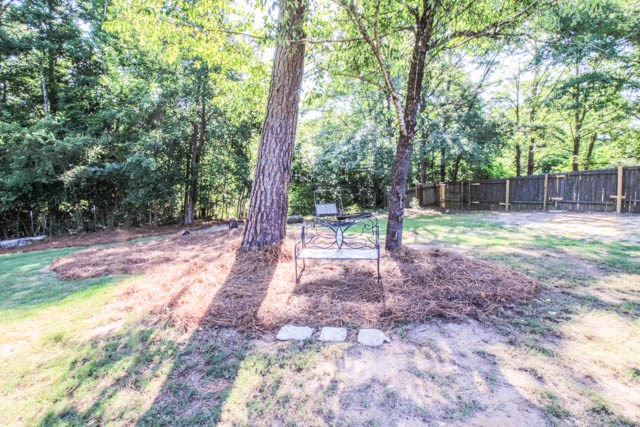 361 Willow Beach Road Ellerslie, GA 31807 - Photo 17 of 21 Gallery Image 17
