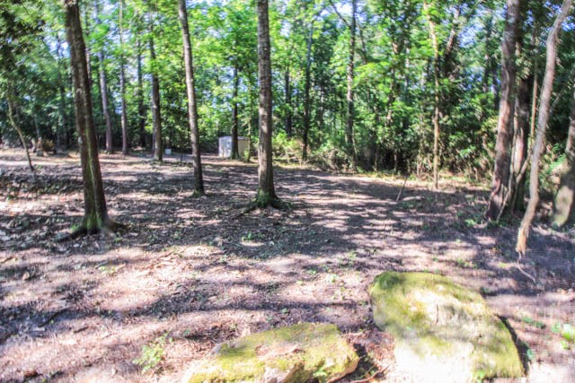 361 Willow Beach Road Ellerslie, GA 31807 - Photo 21 of 21 Gallery Image 21