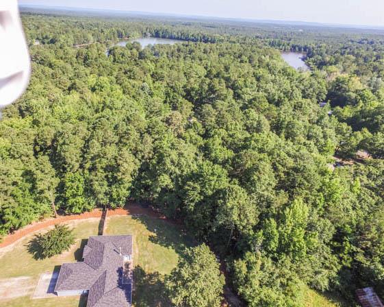 361 Willow Beach Road Ellerslie, GA 31807 - Photo 3 of 21 Gallery Image 3