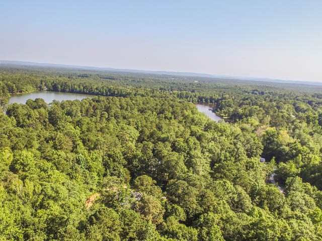 361 Willow Beach Road Ellerslie, GA 31807 - Photo 5 of 21 Gallery Image 5