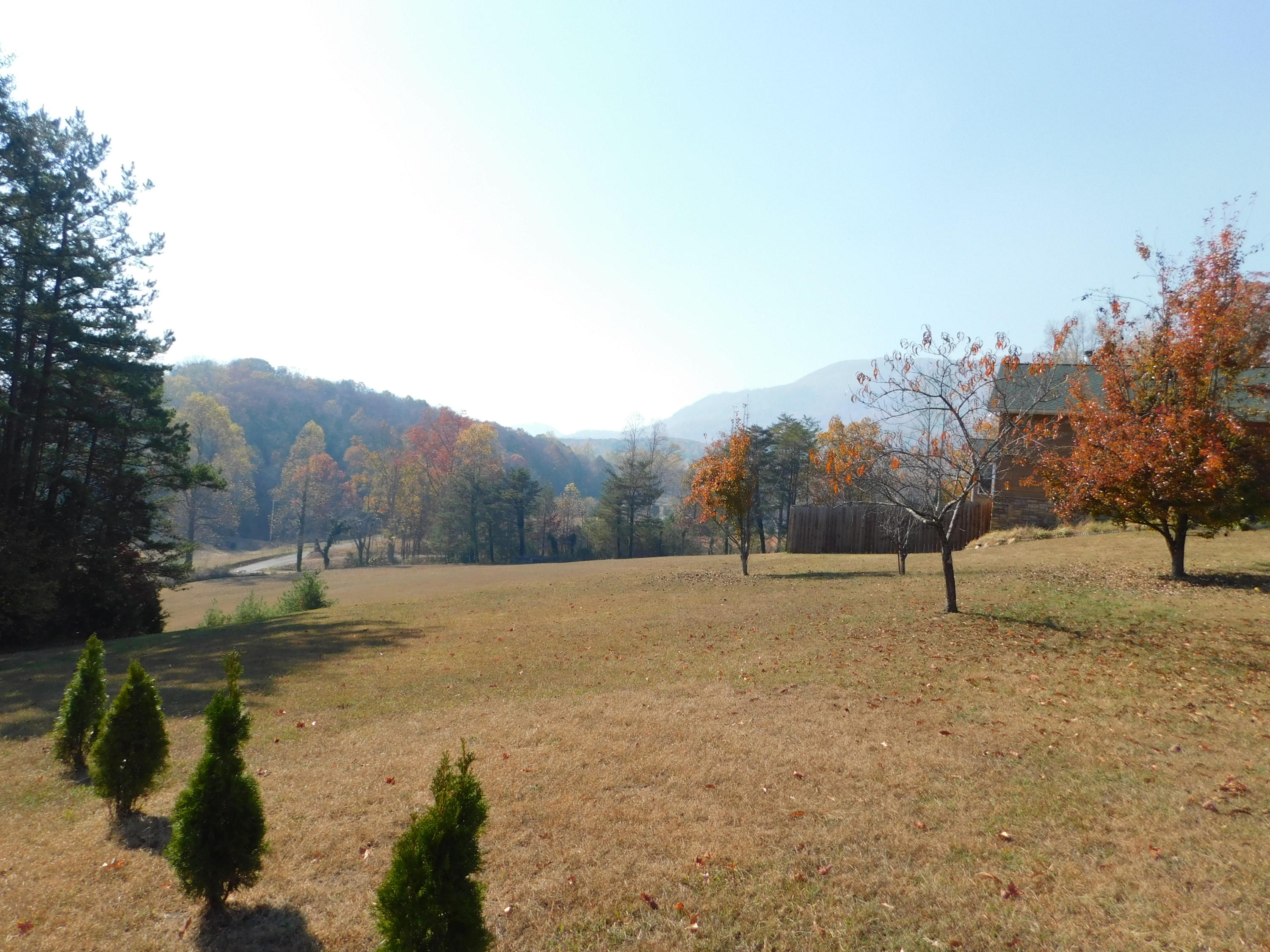 English Mountain Road Cosby, TN 37722 - Photo 1 of 25 DSCN0033