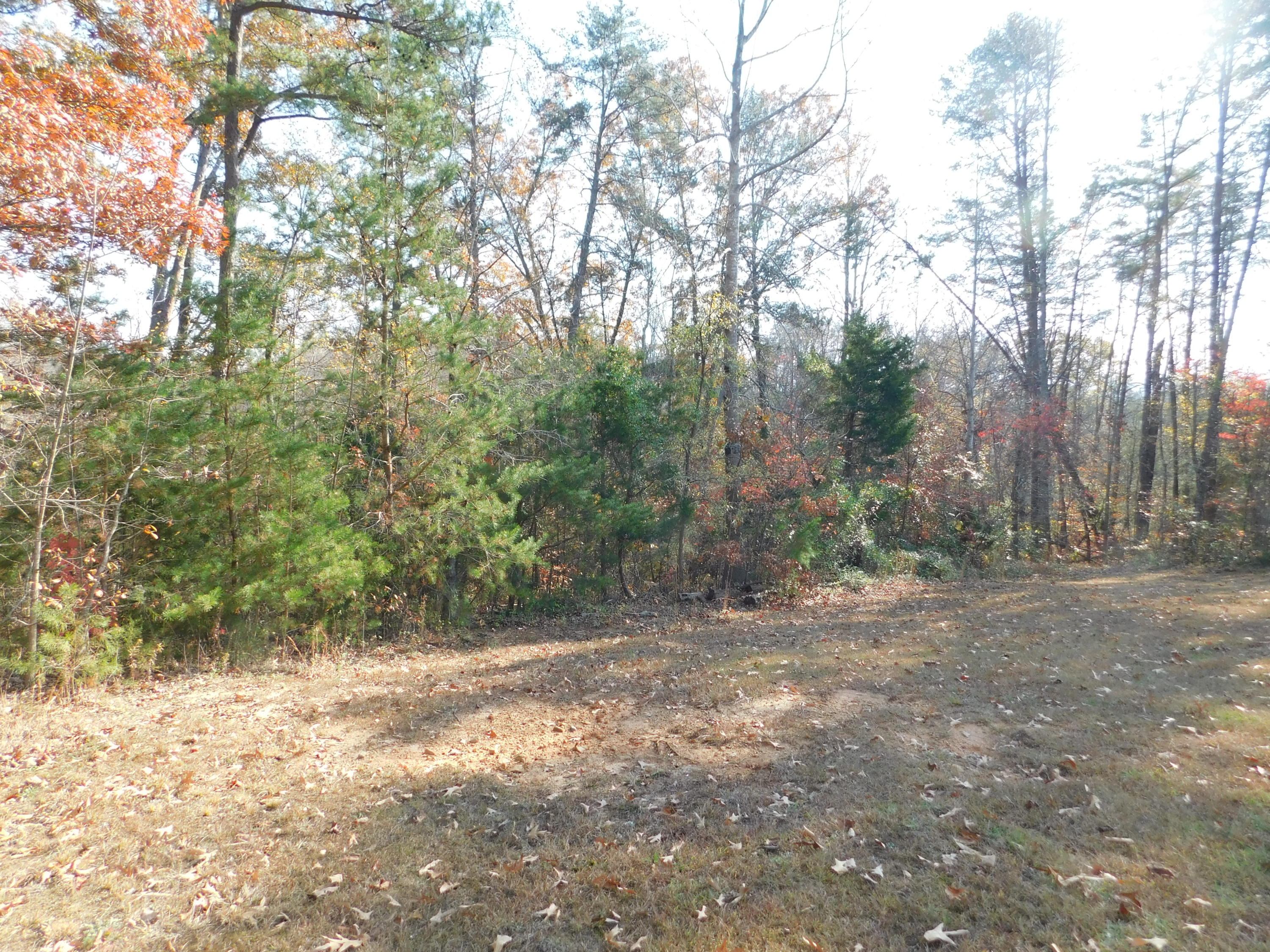 English Mountain Road Cosby, TN 37722 - Photo 24 of 25 DSCN0056
