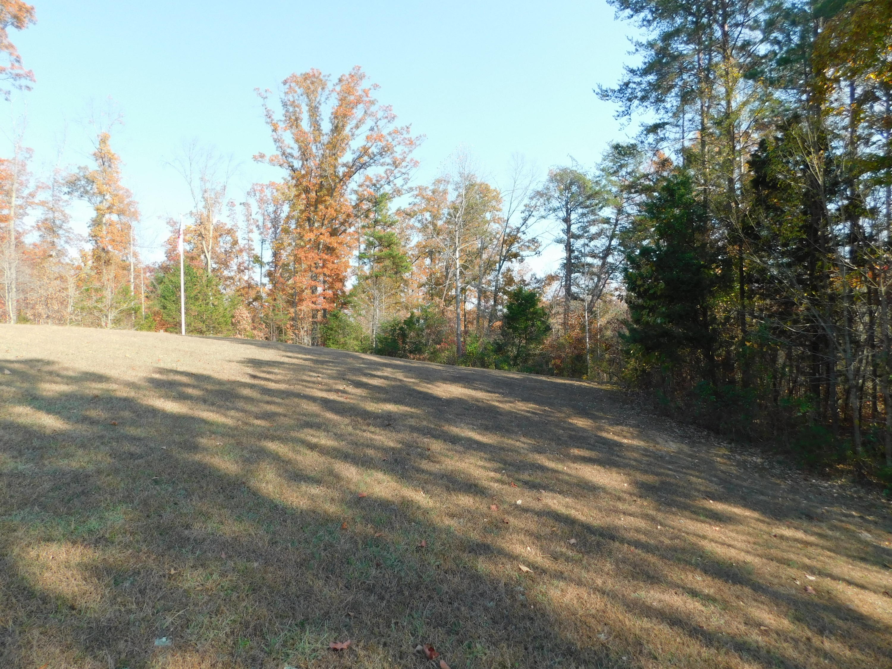 English Mountain Road Cosby, TN 37722 - Photo 25 of 25 DSCN0058