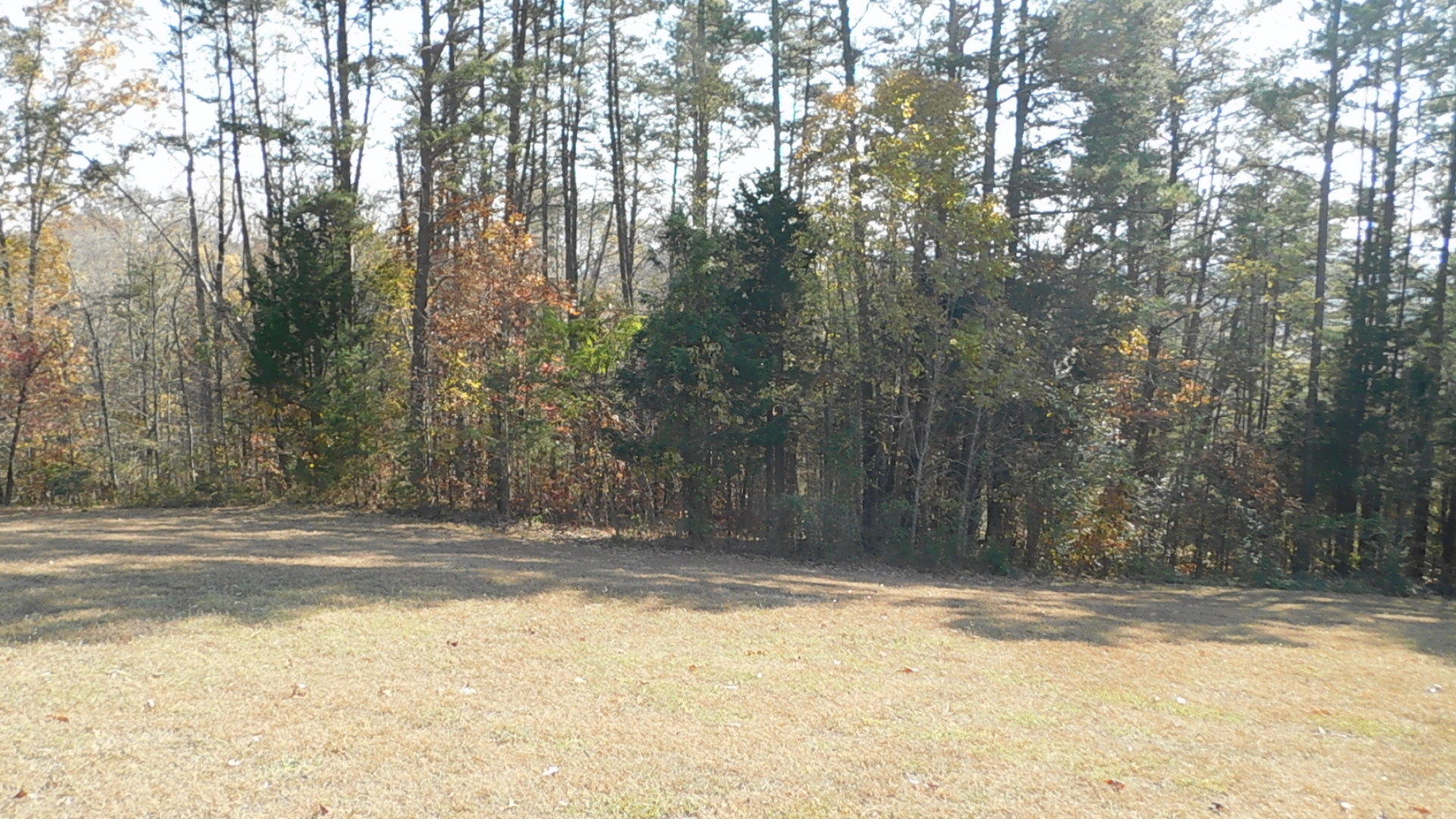 English Mountain Road Cosby, TN 37722 - Photo 5 of 25 DSCN0035