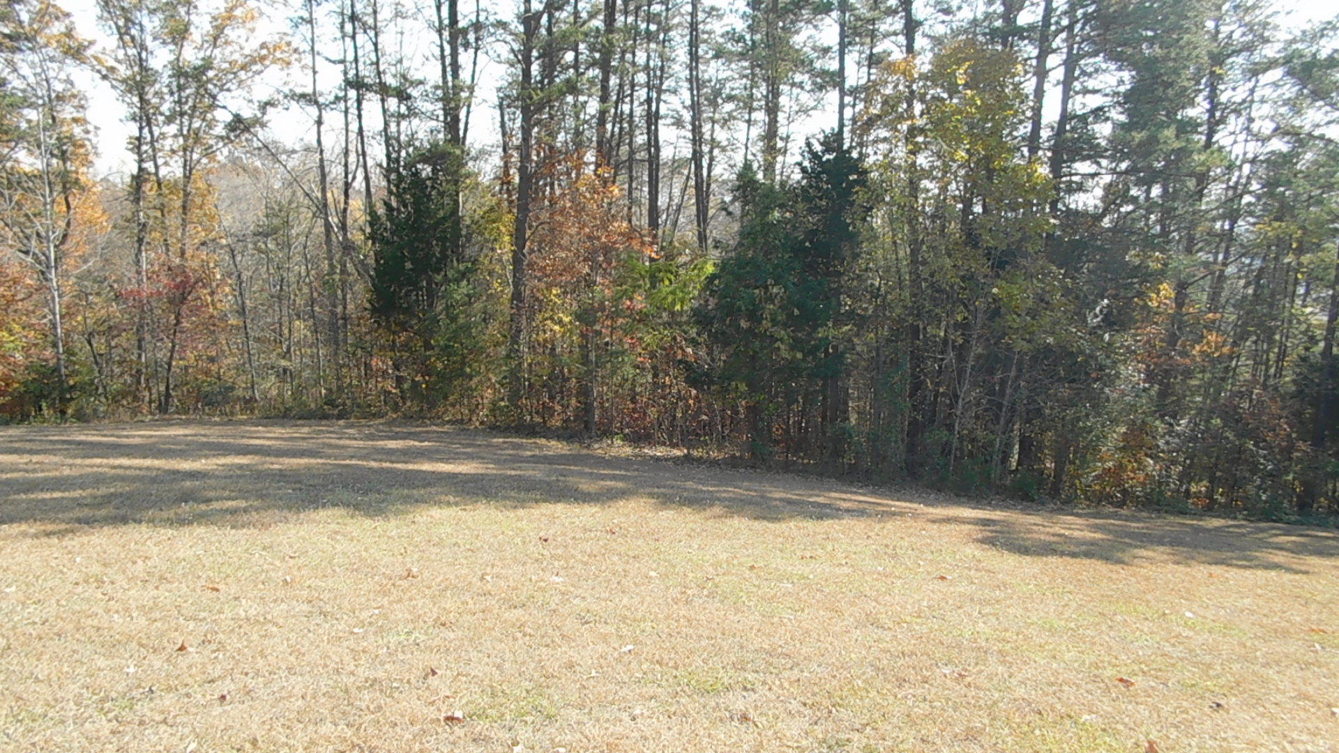 English Mountain Road Cosby, TN 37722 - Photo 6 of 25 DSCN0036