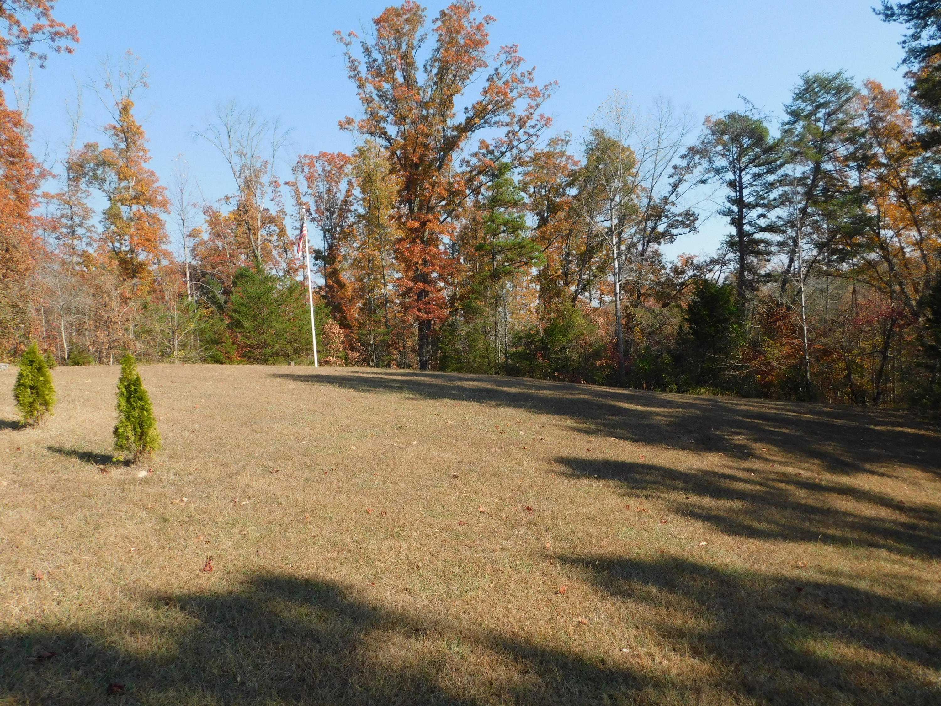 English Mountain Road Cosby, TN 37722 - Photo 8 of 25 DSCN0032