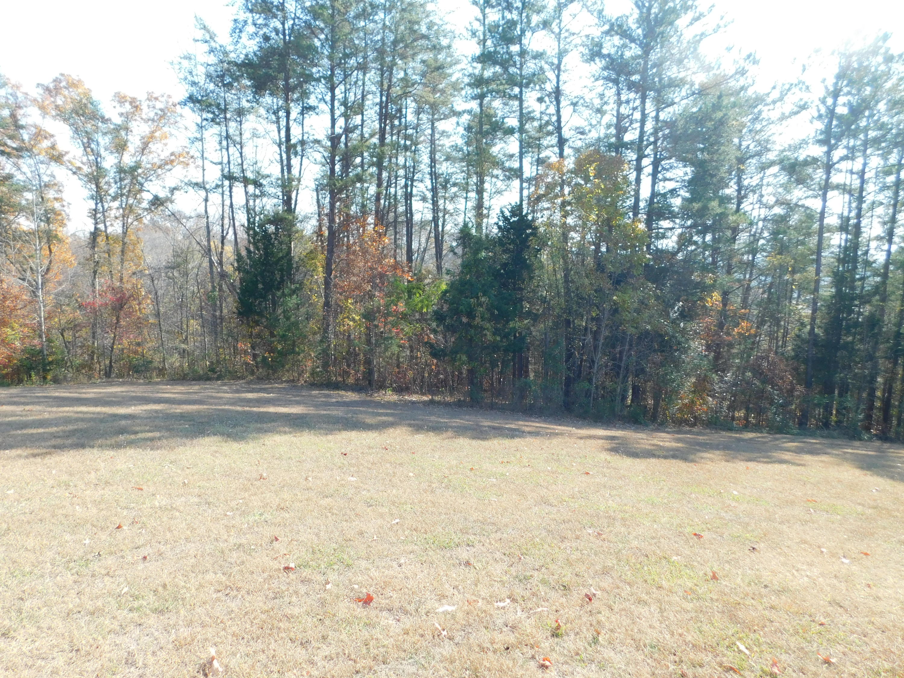 English Mountain Road Cosby, TN 37722 - Photo 10 of 25 DSCN0039