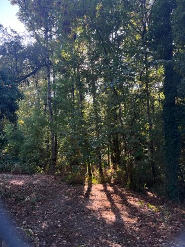 4714 Willetta Street Southwest Albany, OR 97321 - Photo 4 of 4