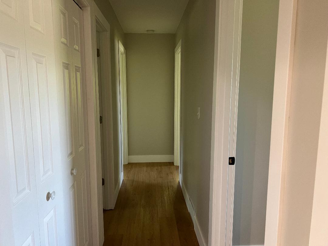 126 Johnson Street Edmore, MI 48829 - Photo 24 of 33 johnson 25