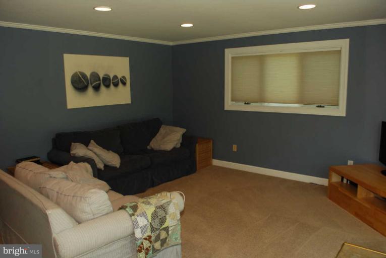 3906 Lakota Road Alexandria, VA 22303 - Photo 20 of 22 Basement