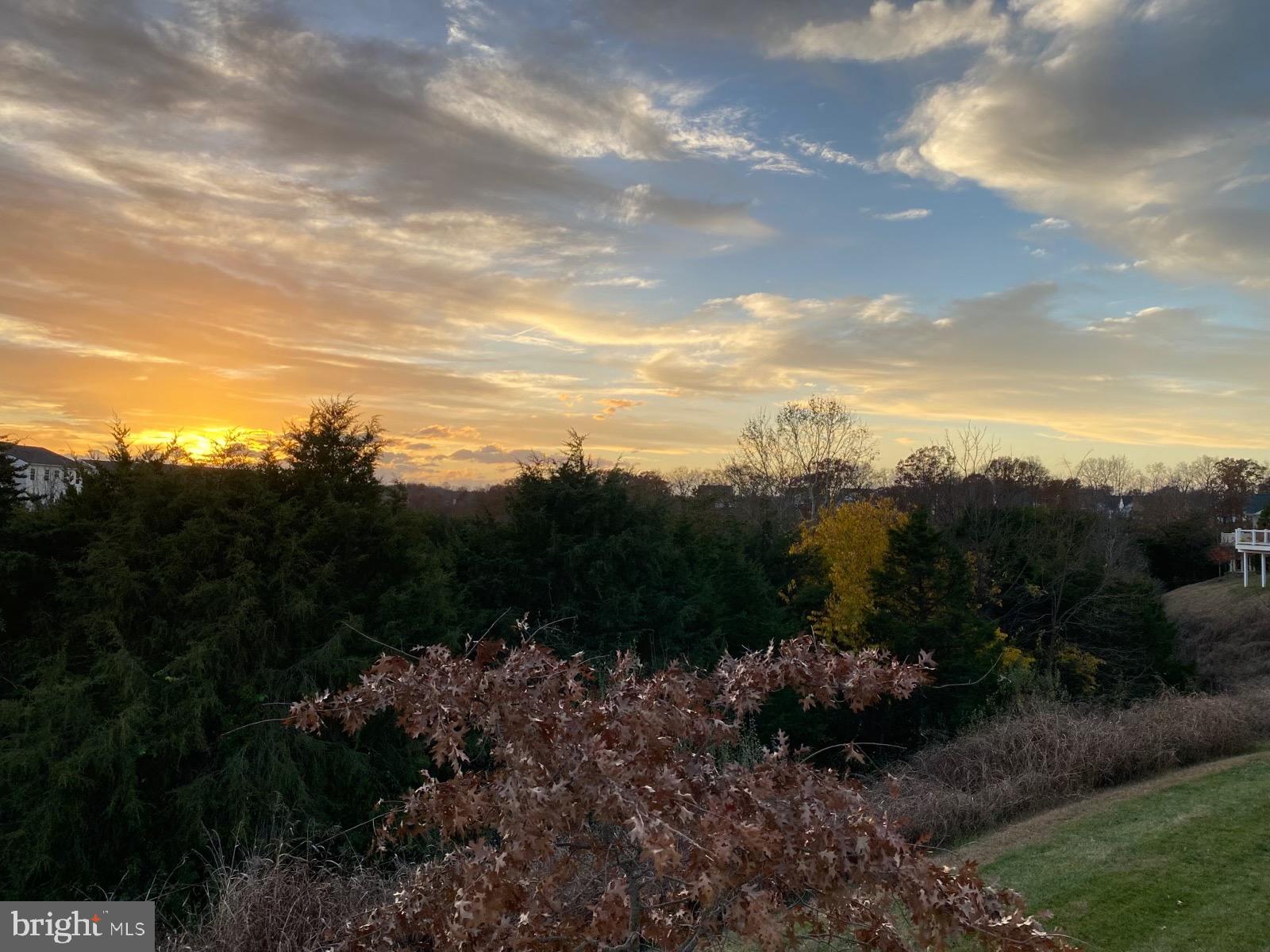 101 Harvester Drive White Post, VA 22663 - Photo 45 of 88