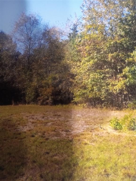 165 County Road Marietta, TX 75566 - Photo 10 of 10 a view of lake