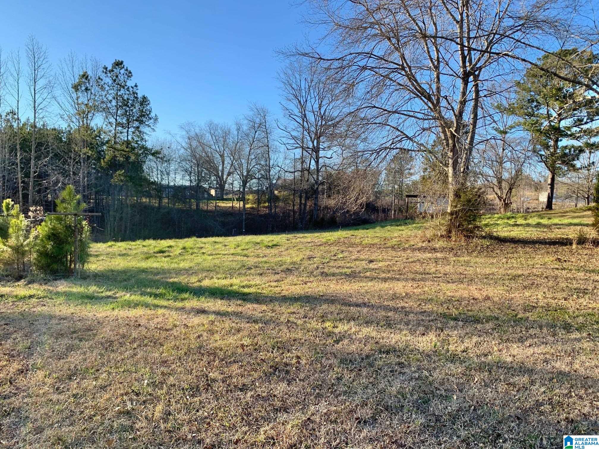 575 Saxon Creek Road Goodwater, AL 35072 - Photo 9 of 15