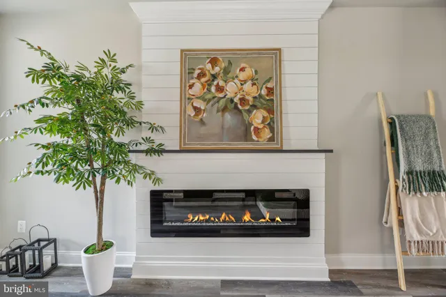 a living room with a potted plant and a fireplace