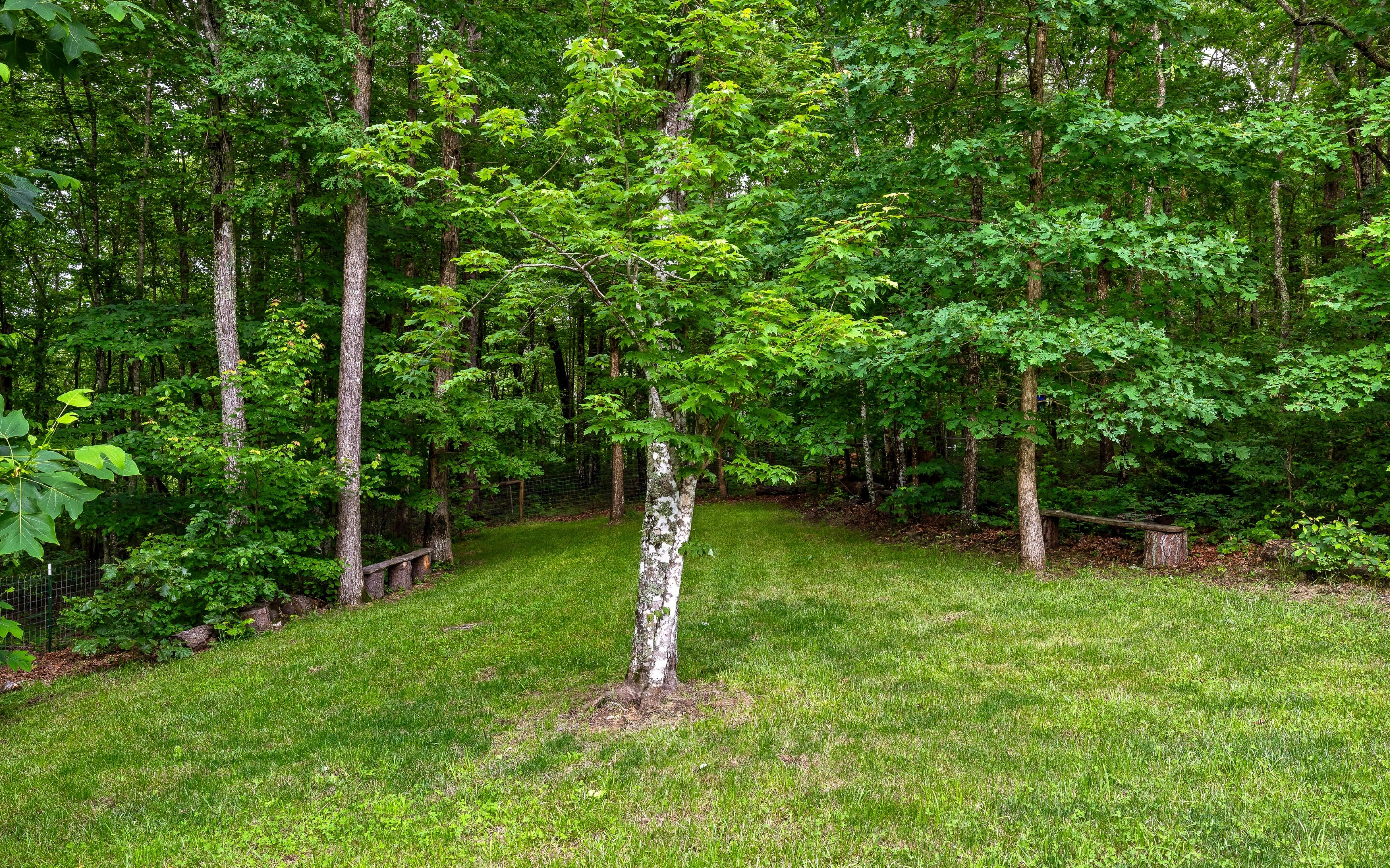266 Beaten Path Signal Mountain, TN 37377 - Photo 57 of 76 57