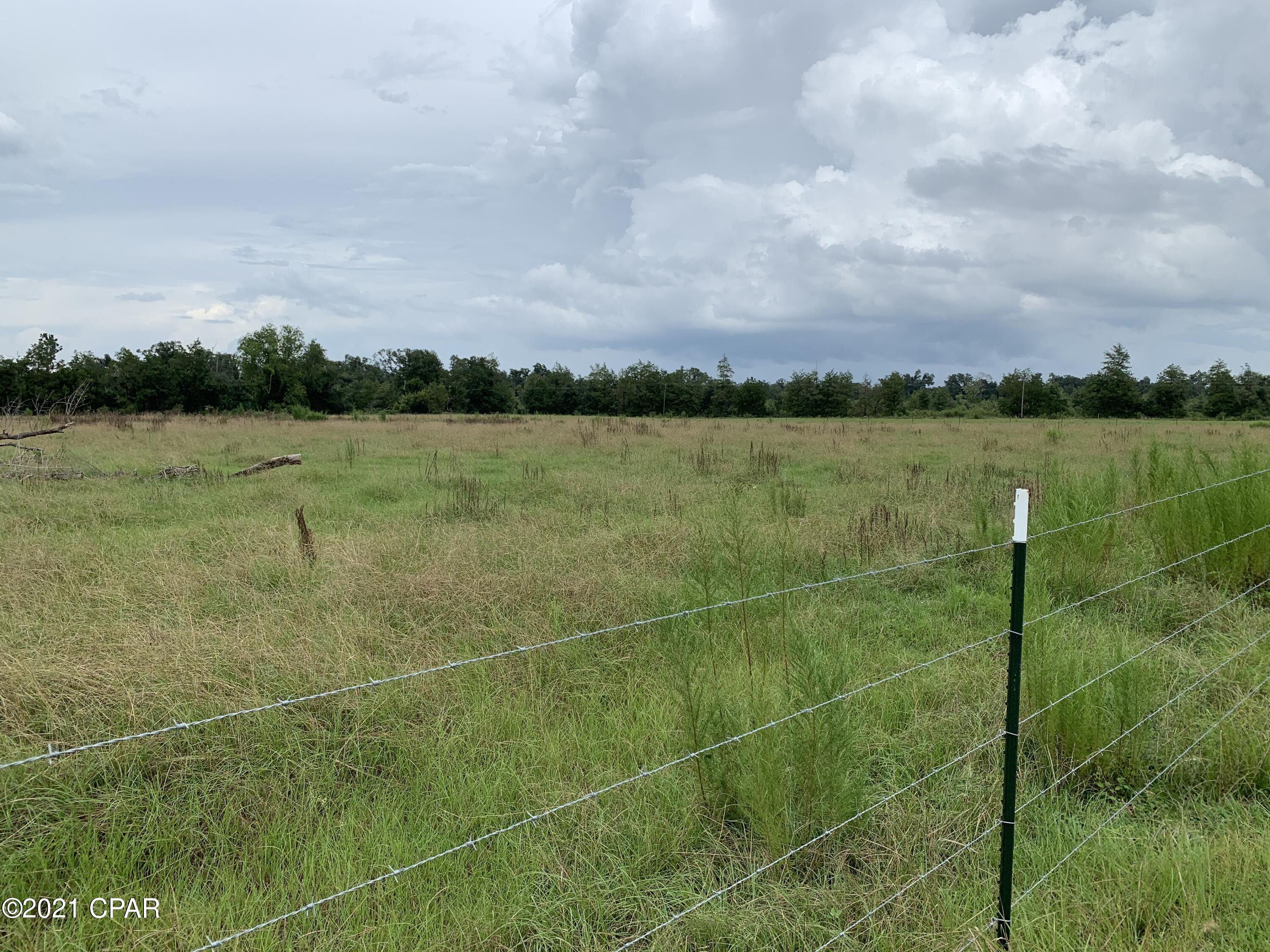 5041 Liberty Hill Road Bascom, FL 32423 - Photo 30 of 45