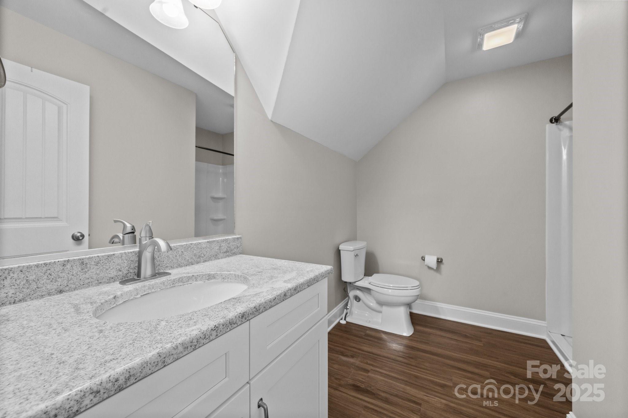 3855 East Holly Grove Road Lexington, NC 27292 - Photo 28 of 42 a bathroom with a granite countertop sink a toilet and a mirror