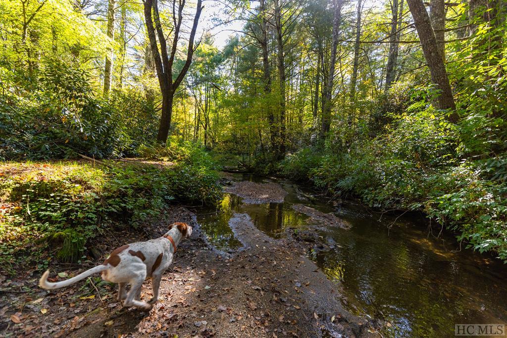 144 Laurel Knob Road Cashiers, NC 28717 - Photo 34 of 54 Gallery Image 34