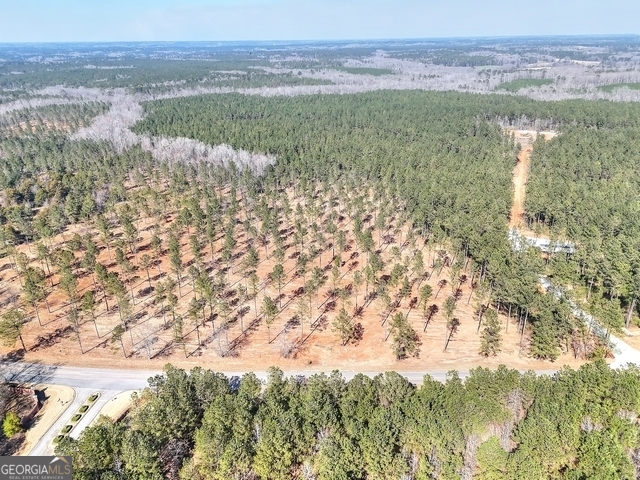 1809 Flat Rock Church Road White Plains, GA 30678 - Photo 2 of 7 a view of a lake with a yard