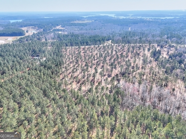 1809 Flat Rock Church Road White Plains, GA 30678 - Photo 4 of 7 a view of city and mountain