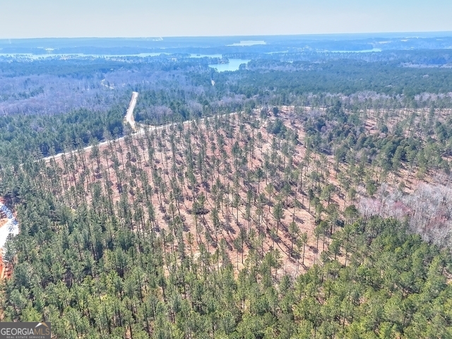 1809 Flat Rock Church Road White Plains, GA 30678 - Photo 6 of 7 a view of a city with lush green forest