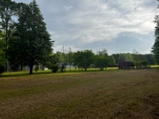 3501 William Brunson Road Summerton, SC 29148 - Photo 9 of 12