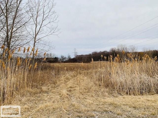 0 Frost Road New Haven, MI 48048 - Photo 2 of 5