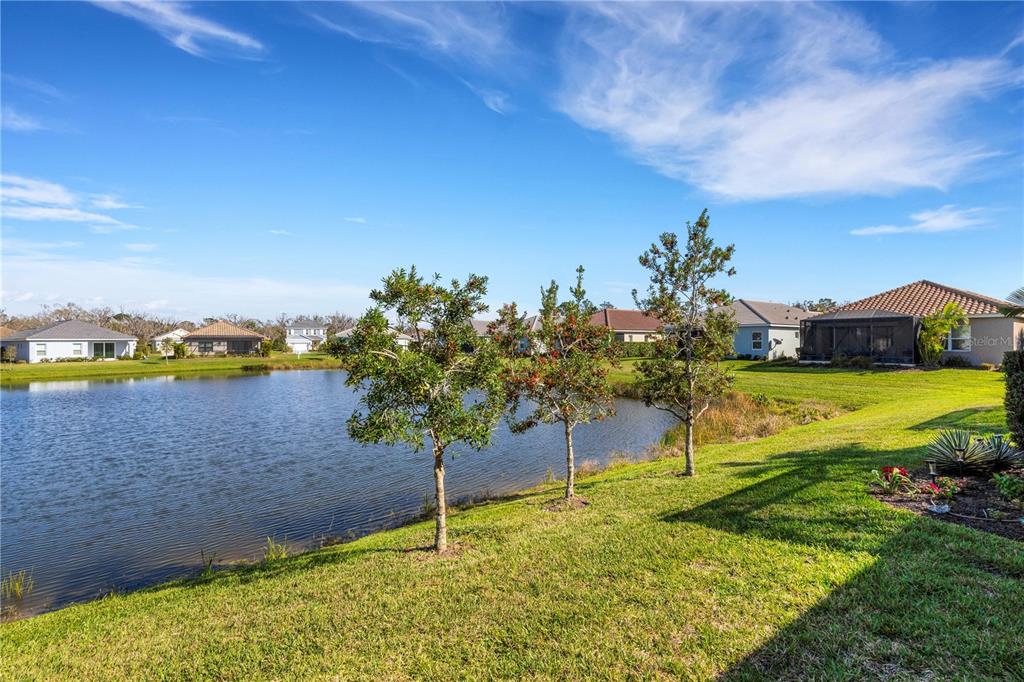 3325 Azurite Way Lakewood Ranch, FL 34211 - Photo 28 of 46 a view of a yard with an trees