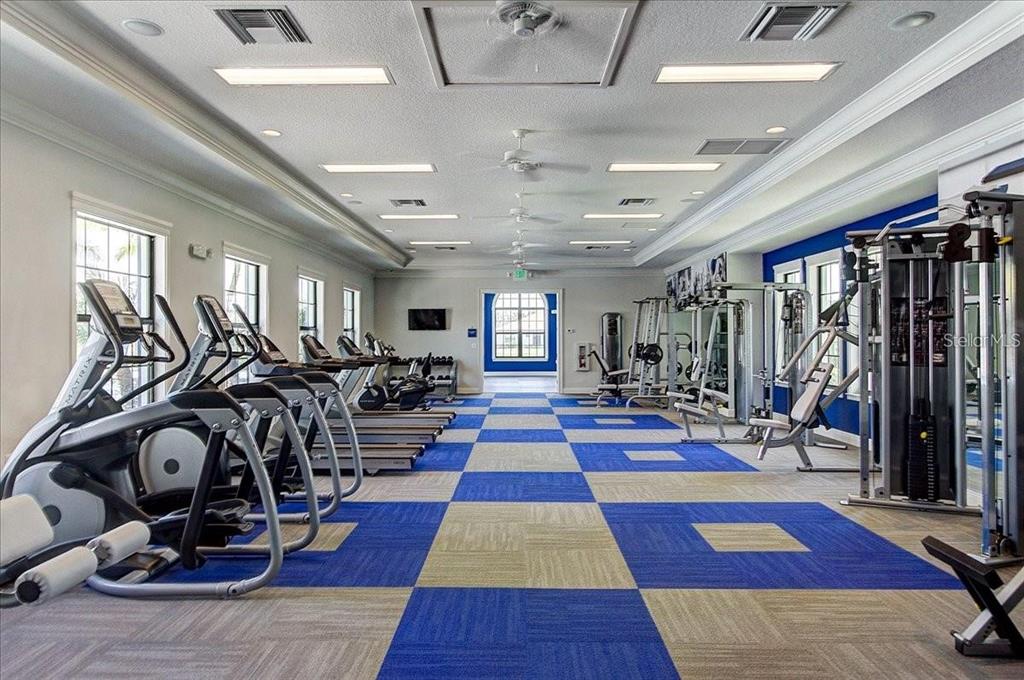 3325 Azurite Way Lakewood Ranch, FL 34211 - Photo 42 of 46 a view of a room with gym equipment