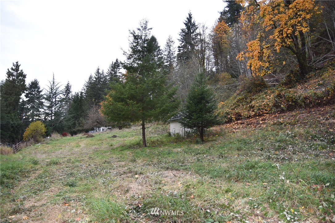 227 Stewart Creek Road Longview, WA 98632 - Photo 2 of 8 Gallery Image 2