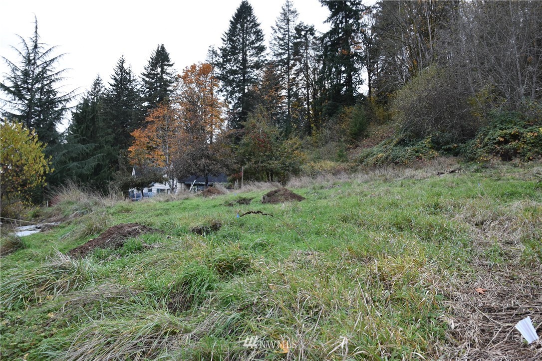 227 Stewart Creek Road Longview, WA 98632 - Photo 4 of 8 Gallery Image 4