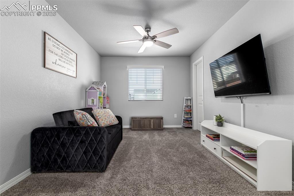 10427 Summer Ridge Drive Peyton, CO 80831 - Photo 17 of 50