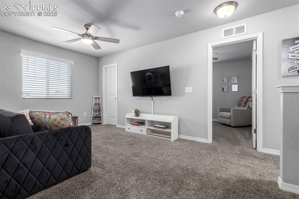 10427 Summer Ridge Drive Peyton, CO 80831 - Photo 18 of 50