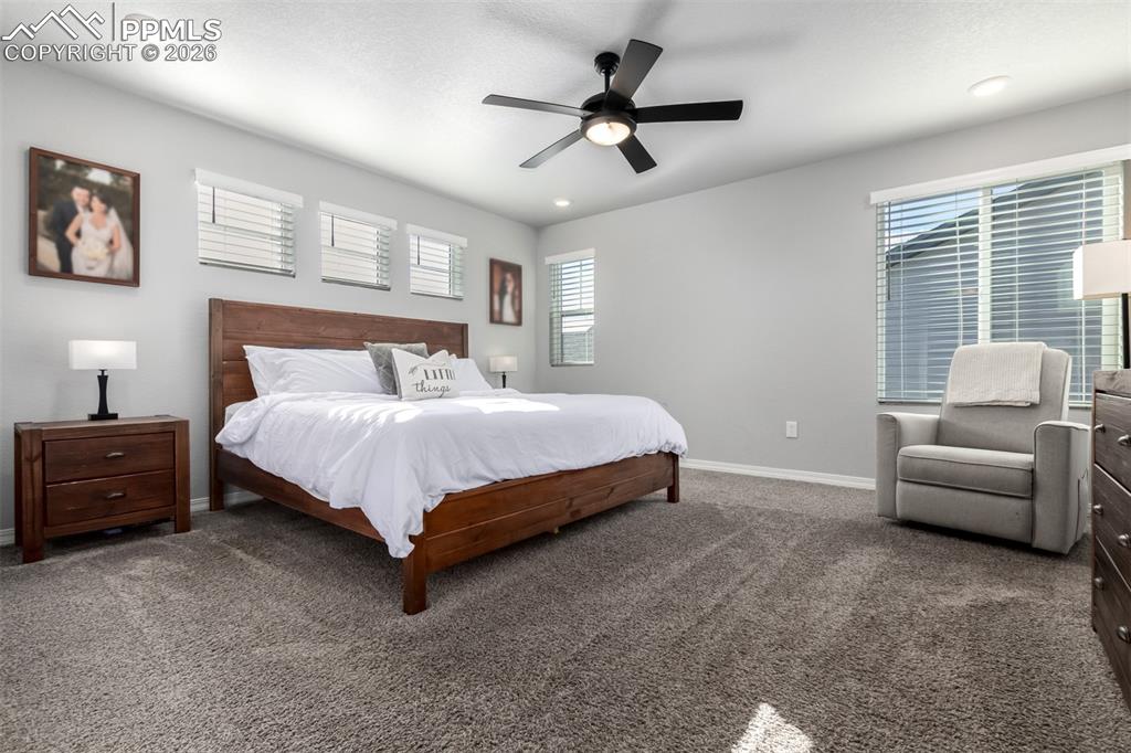 10427 Summer Ridge Drive Peyton, CO 80831 - Photo 19 of 50