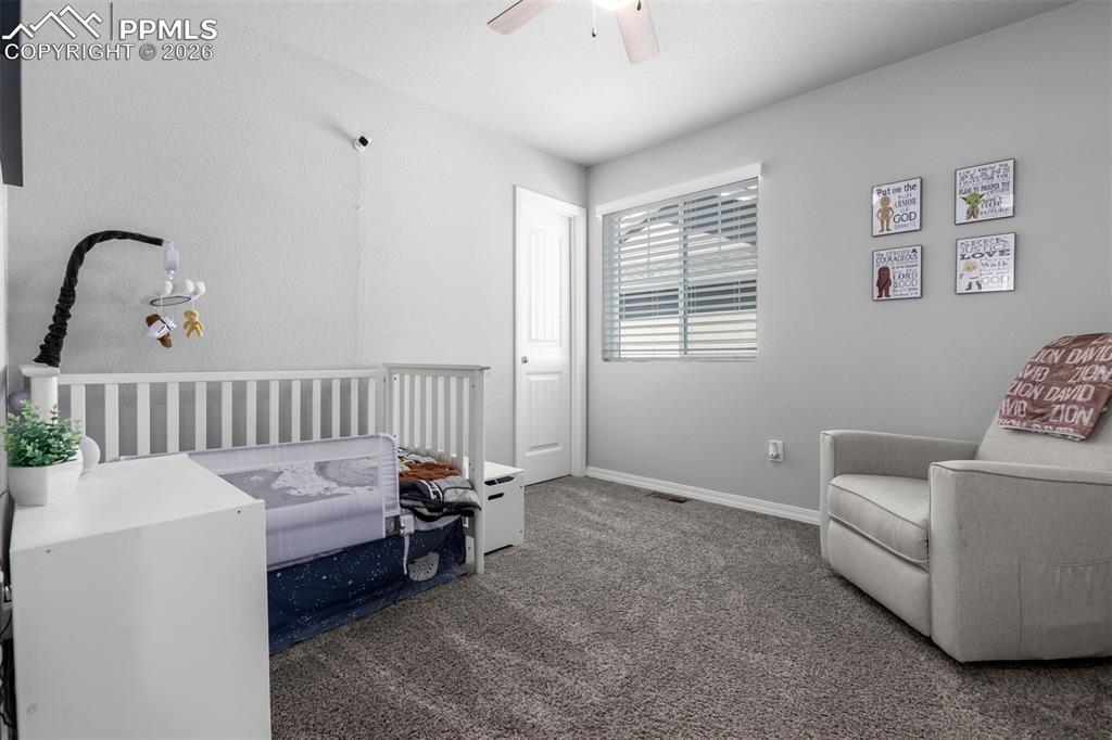 10427 Summer Ridge Drive Peyton, CO 80831 - Photo 26 of 50