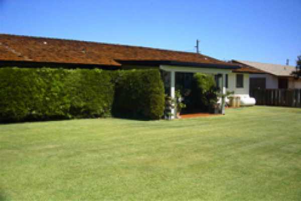 4837 Moi Road Hanapepe, HI 96716 - Photo 6 of 16