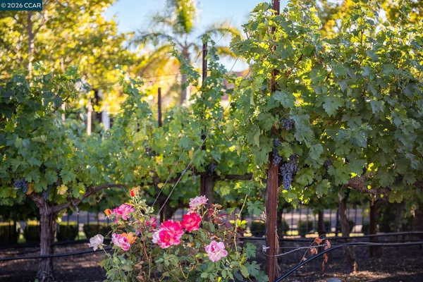 $12,300,000 | 940 Eagle Ridge Drive, Danville, CA 94506