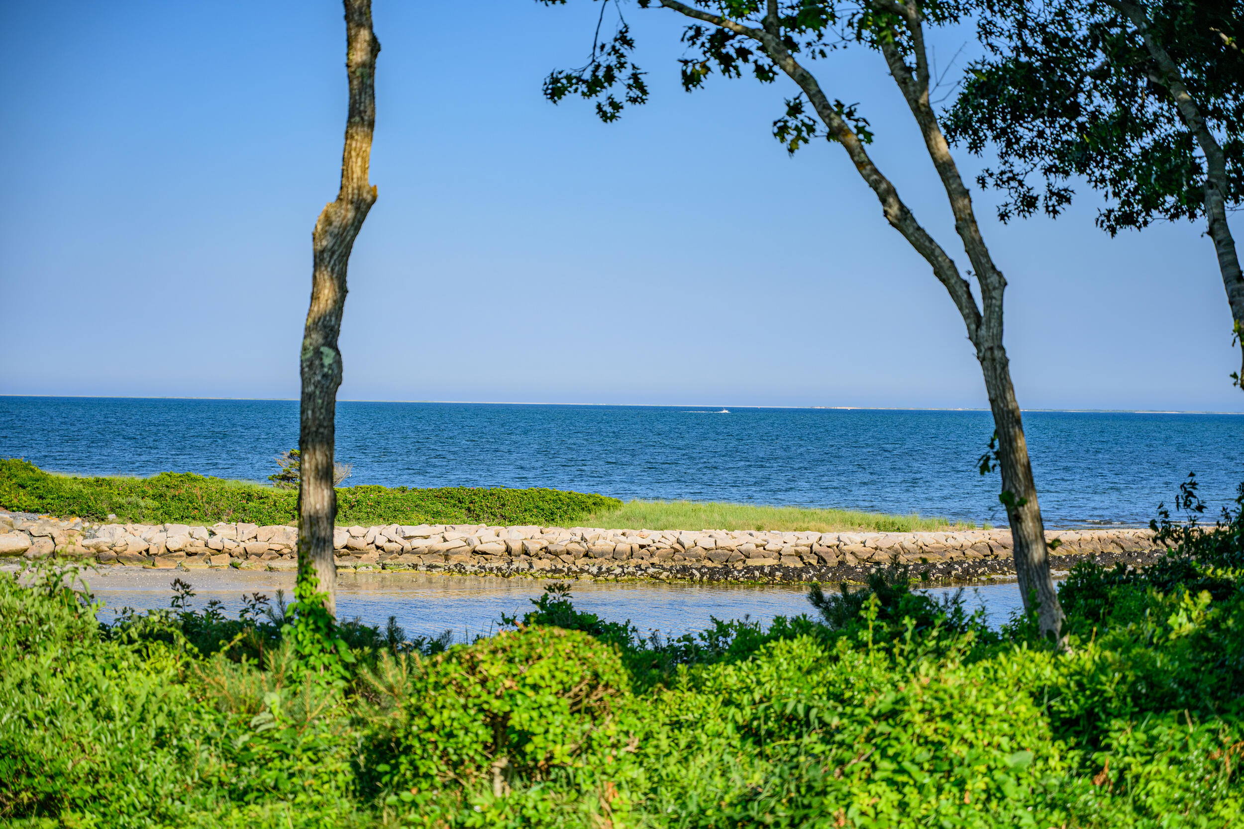 12 Mill Road Harwich Port, MA 02646 - Photo 25 of 39 DSC_3296 (1)