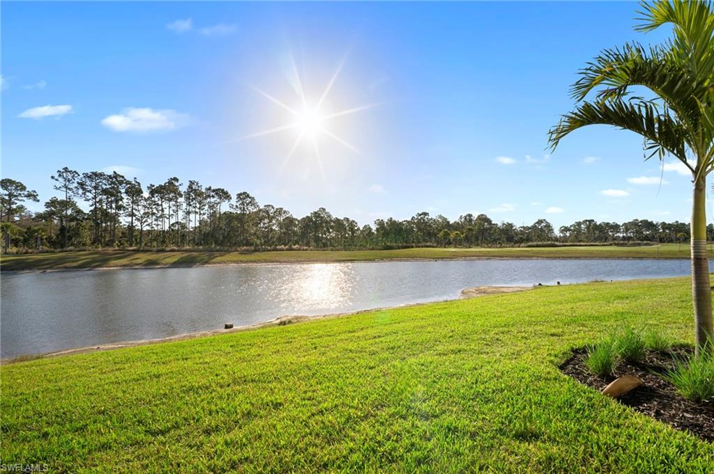 15155 Bluffton Lane, Unit 517 Babcock Ranch, FL 33982 - Photo 36 of 39 a view of a lake with houses in the back
