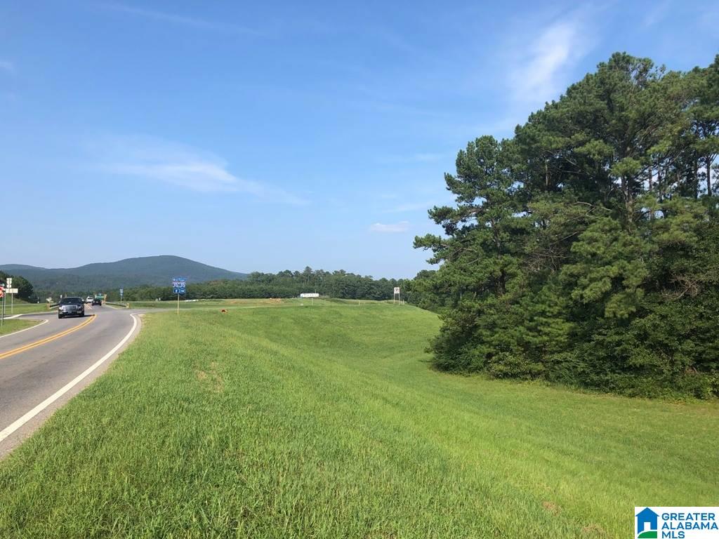 Priebes Mill Road, Unit 12 9 Oxford, AL 36203 - Photo 19 of 21