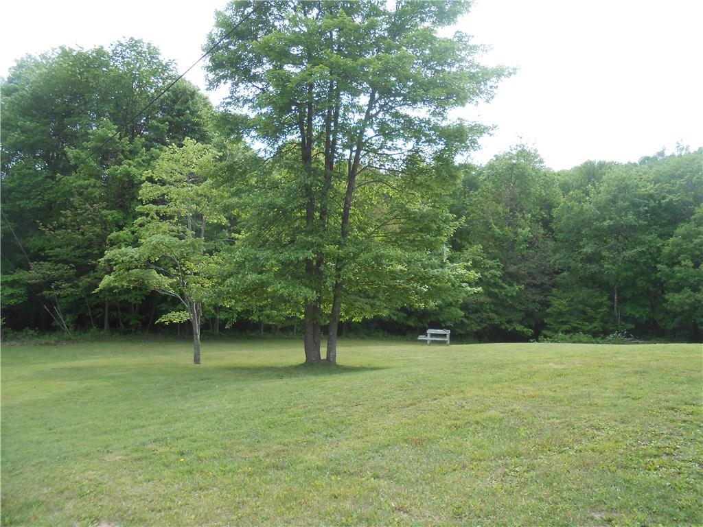 3338 McCartney Road Apollo, PA 15613 - Photo 3 of 25