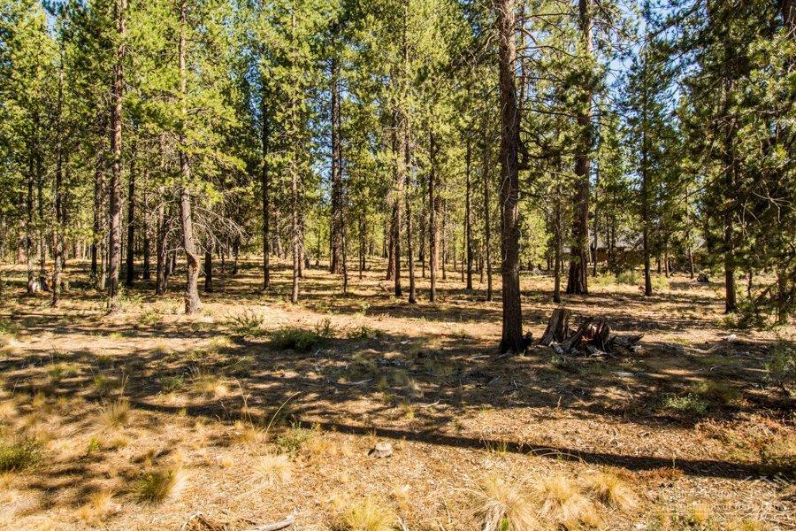 56167 Sable Rock Loop Bend, OR 97707 - Photo 2 of 4 Additional Photo