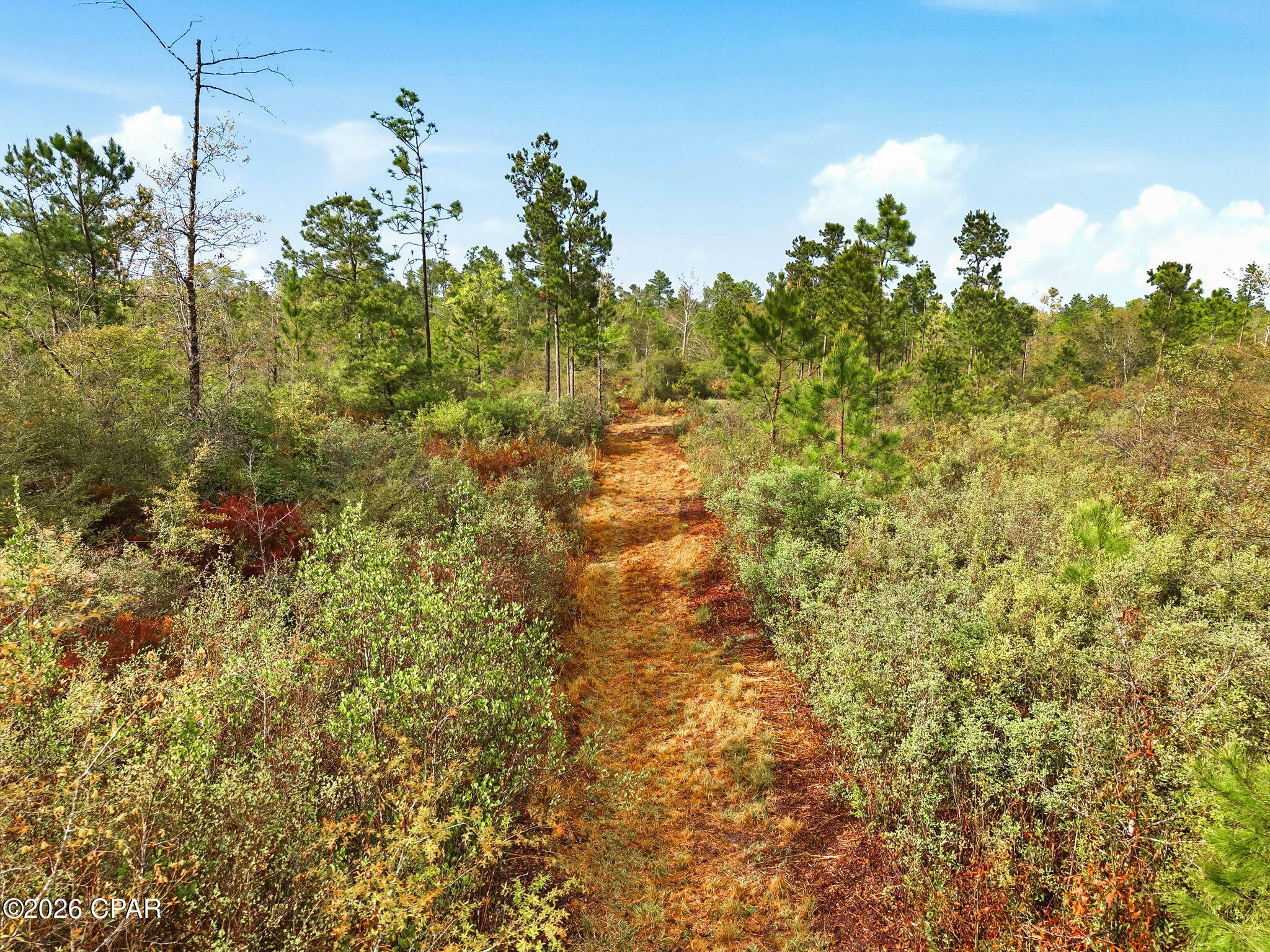 11727 Owenwood Road Fountain, FL 32438 - Photo 17 of 18