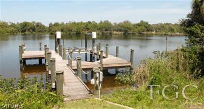 2161 Gardner Road Alva, FL 33920 - Photo 3 of 10 Gallery Image 3