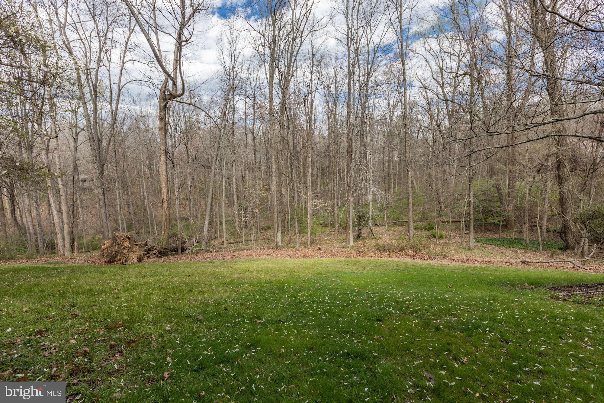 8700 Old Dominion Drive McLean, VA 22102 - Photo 22 of 27